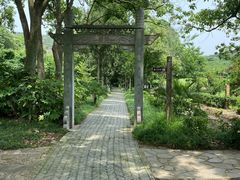 -白马涧龙池景区