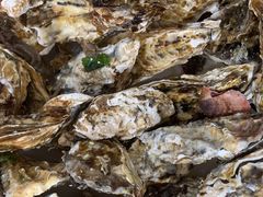 -宾朋海鲜特色美食餐厅·纯手工鲅鱼水饺(兴海路店)