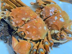 招牌熟醉太湖大闸蟹-呼吸森林·生态农庄农家乐私房菜