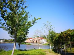 -上海长兴岛郊野公园