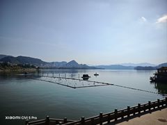-千岛湖城中湖游船码头