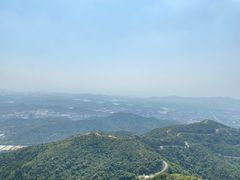 -阳台山森林公园
