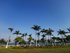 -海豚湾·大堂吧(厦门佰翔波特曼七星湾酒店)