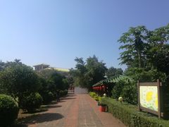 -侯臣咖啡文化村