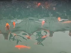 -墨池公园