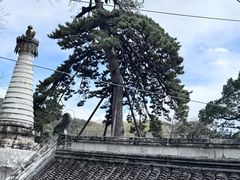-潭柘寺景区