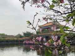 -宝墨园景区