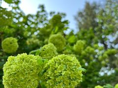 -国家植物园