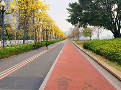 -洲头咀公园