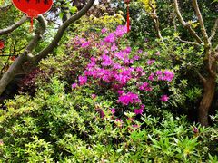 -南山风景名胜区