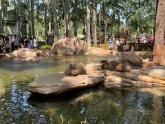 -北京野生动物园