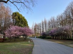 -石湖景区