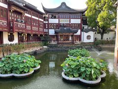 -豫园湖心亭茶楼
