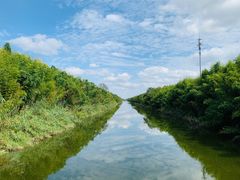 -黄海国家森林公园