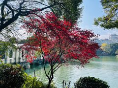 -桂林两江四湖景区