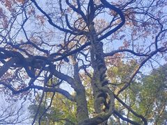 -绮园景区