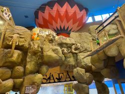 -卡通尼·Safari非洲探索乐园·生日会(金桥国际商业广场店)