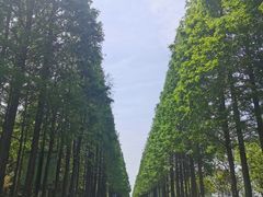 -歌斐颂巧克力小镇