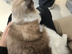 -怪兽屋·羊驼·猫咖·狗咖(俊华广场店)