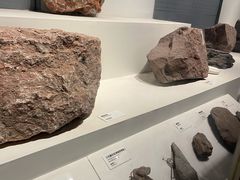 -重庆自然博物馆(新馆)