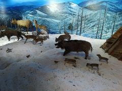 -呼伦贝尔民族博物馆