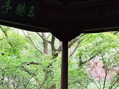 -上海醉白池公园