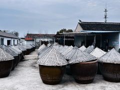 -苏州市吴中区光福窑上花果蜜饯厂