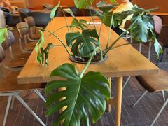 -Wagas沃歌斯(汇智店)