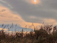 -东极岛景区