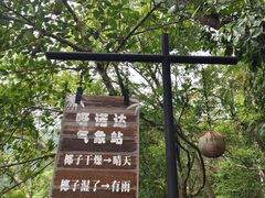 -呀诺达热带雨林