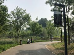 -东郊湿地公园