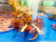-盒马X会员店(上海森兰商都店)