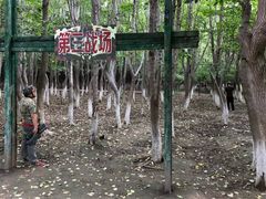 -亲兄弟真人CS团建拓展基地