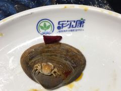 -小鱼儿海鲜港(新村十区店)