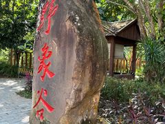 -野象谷景区