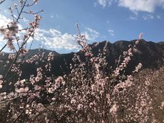 -碓臼峪自然风景区