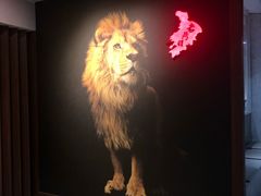 -老鼎旺安格斯牛肉火锅(衡艺广场店)