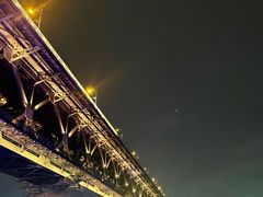 -武汉两江游览·夜游长江(汉口粤汉码头)