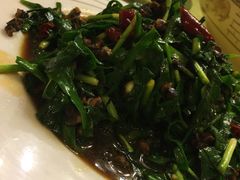 -丁老爷子苏香圆
