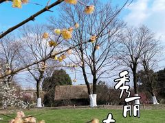 -秀丽东方