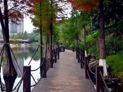 -重庆彩云湖湿地公园