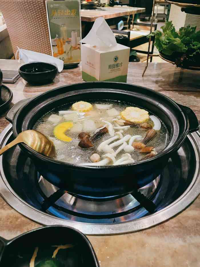 凤园椰珍臻品椰子鸡天河南二路店