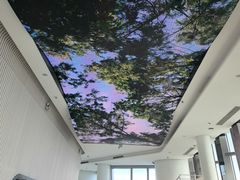 -平安金融中心云际观光层