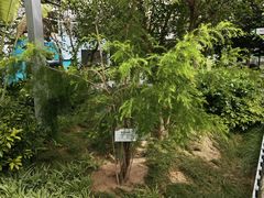 -恩格贝生态旅游区