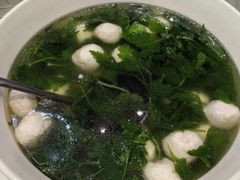 -丁老爷子苏香圆