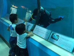-苏州海洋馆
