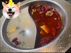 -麻田会 ·鲜活现烹·牛蛙火锅(珠江新城维家思广场店)