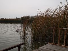 -包头南海湿地景区
