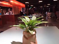 -sugarman espresso素饮糖人高新咖啡工厂