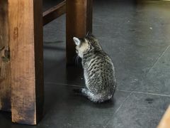 -老北京褡裢火烧·任记